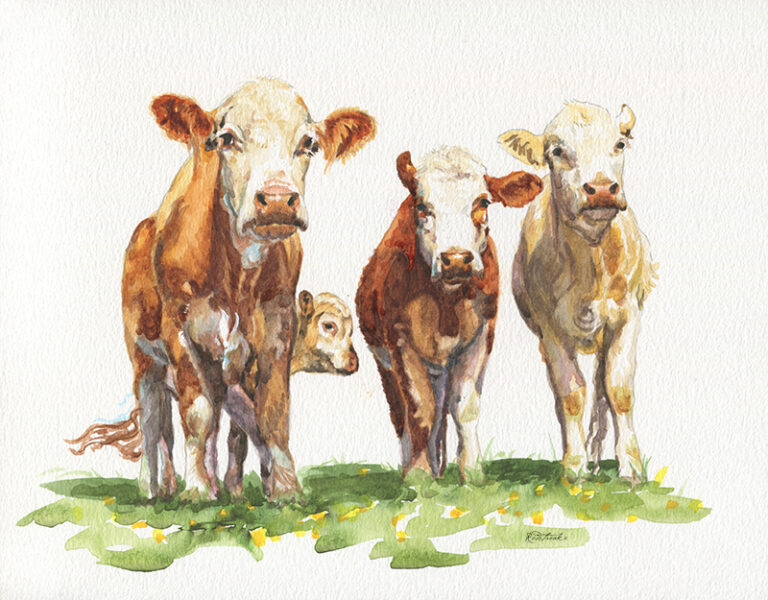 4cowspeeking_redstreake_th-JenniferRedstreake