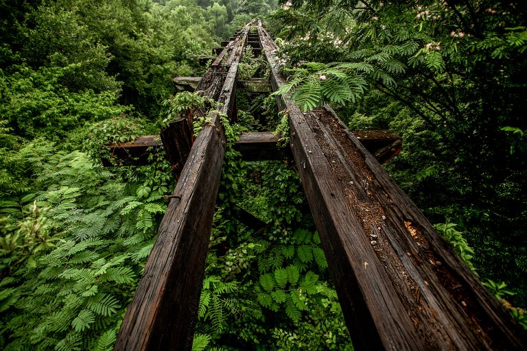 MurmurTrestle